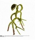 Botruc flexible 18 cm